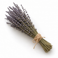 Bouquet of lavender tied with twine on a white background